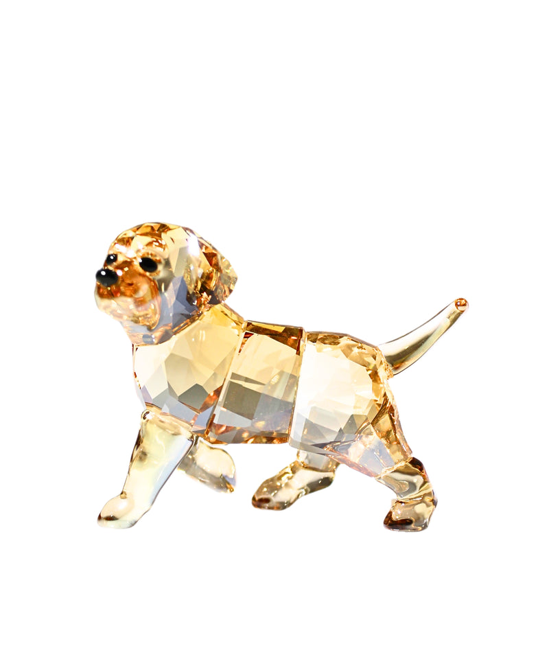 Swarovski Figurine: 1142824 Golden Retriever Puppy