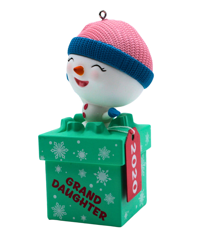 Hallmark Ornament: 2020 The Gift of Granddaughters | QGO1704