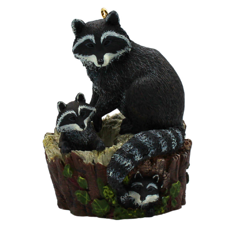 Hallmark Ornament: 1999 Curious Raccoons | QX6287