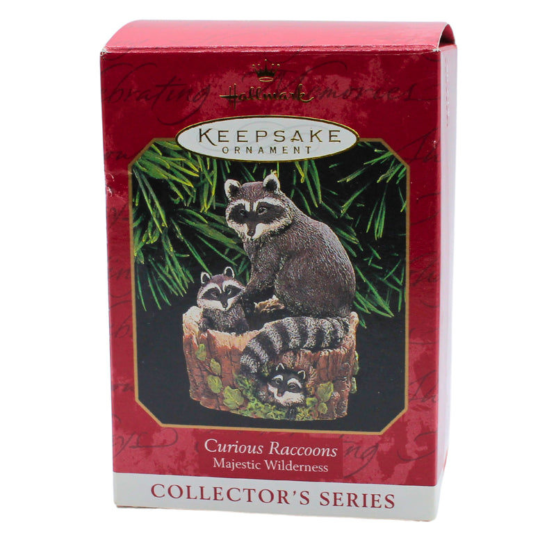 Hallmark Ornament: 1999 Curious Raccoons | QX6287