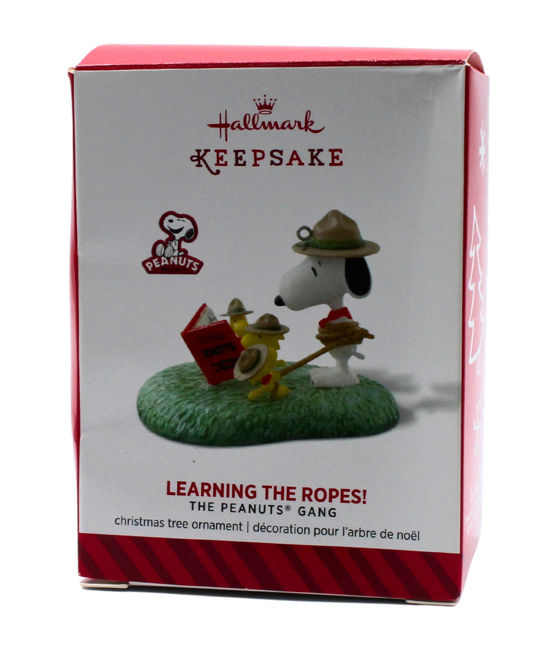 Hallmark Ornament: 2014 Learning the Ropes! | QXI2556 | Peanuts