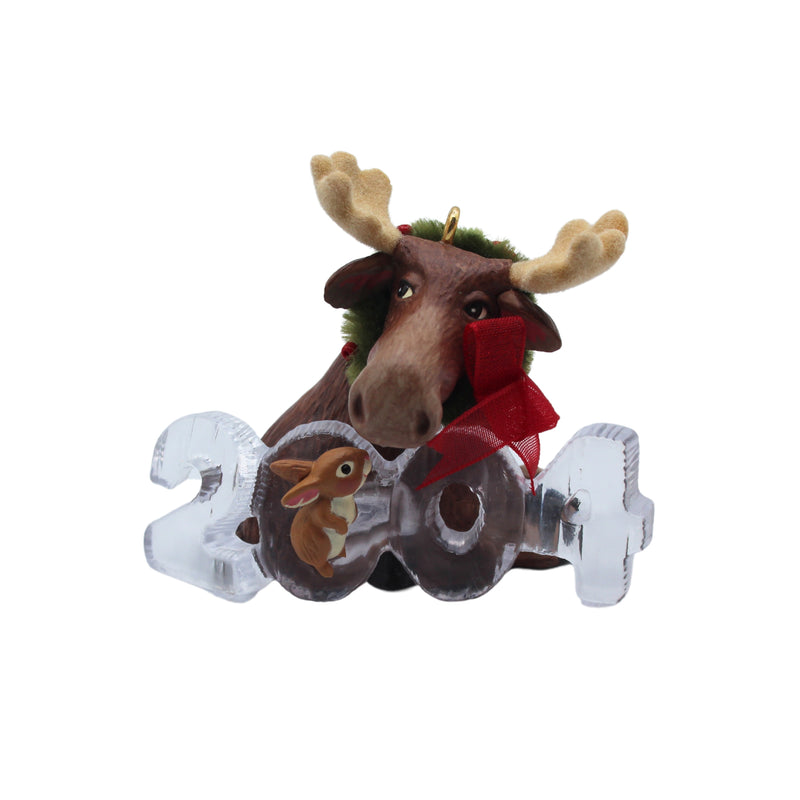 Hallmark Ornament: 2004 Cool Decade | QX8134