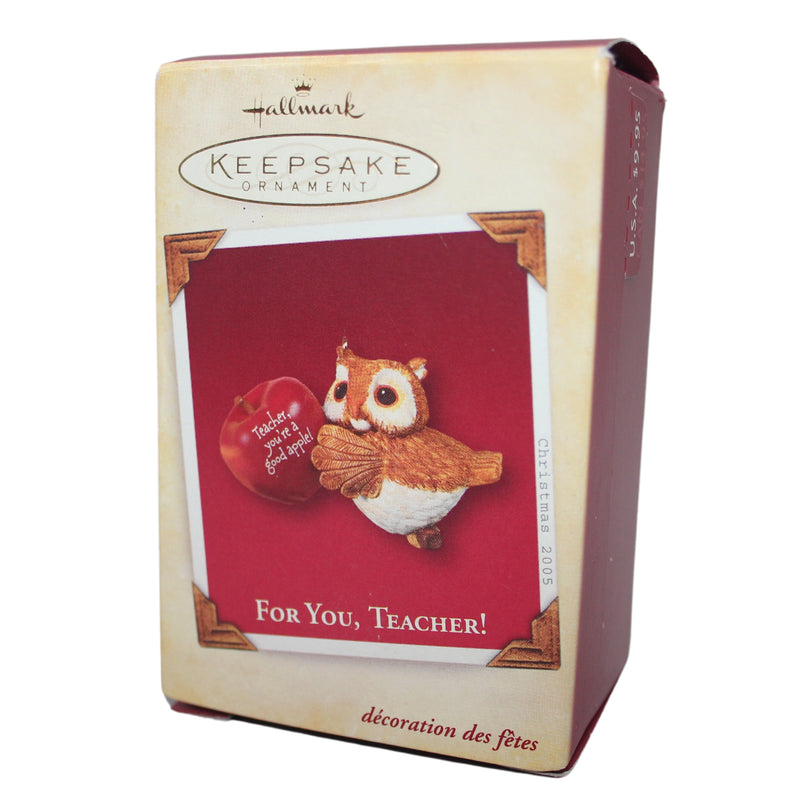 Hallmark Ornament: 2005 For You, Teacher! | QXG4315