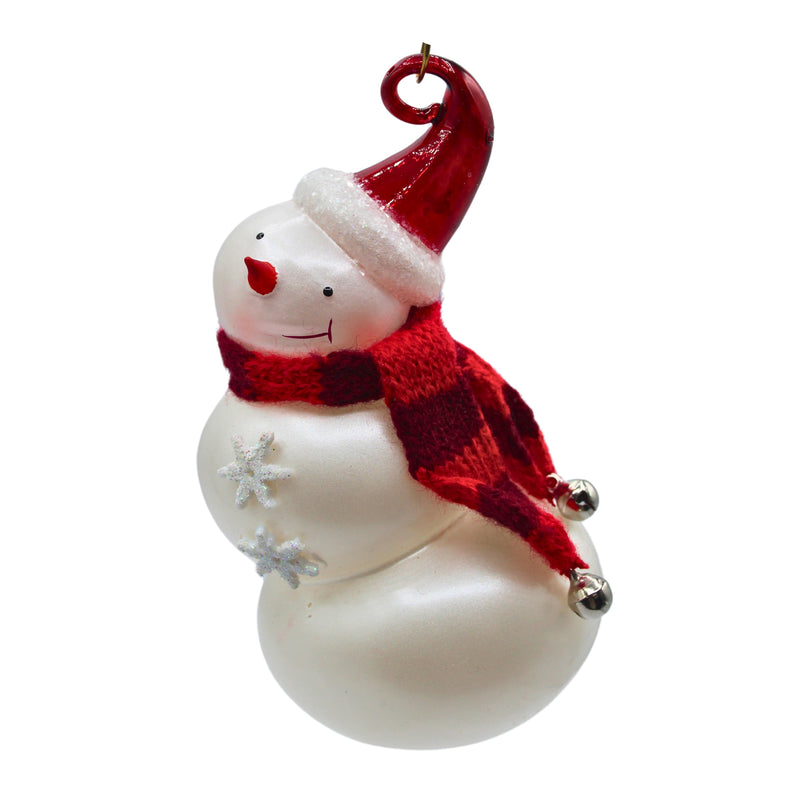 Hallmark Ornament: 2010 What's Snowing On? | QXG7396