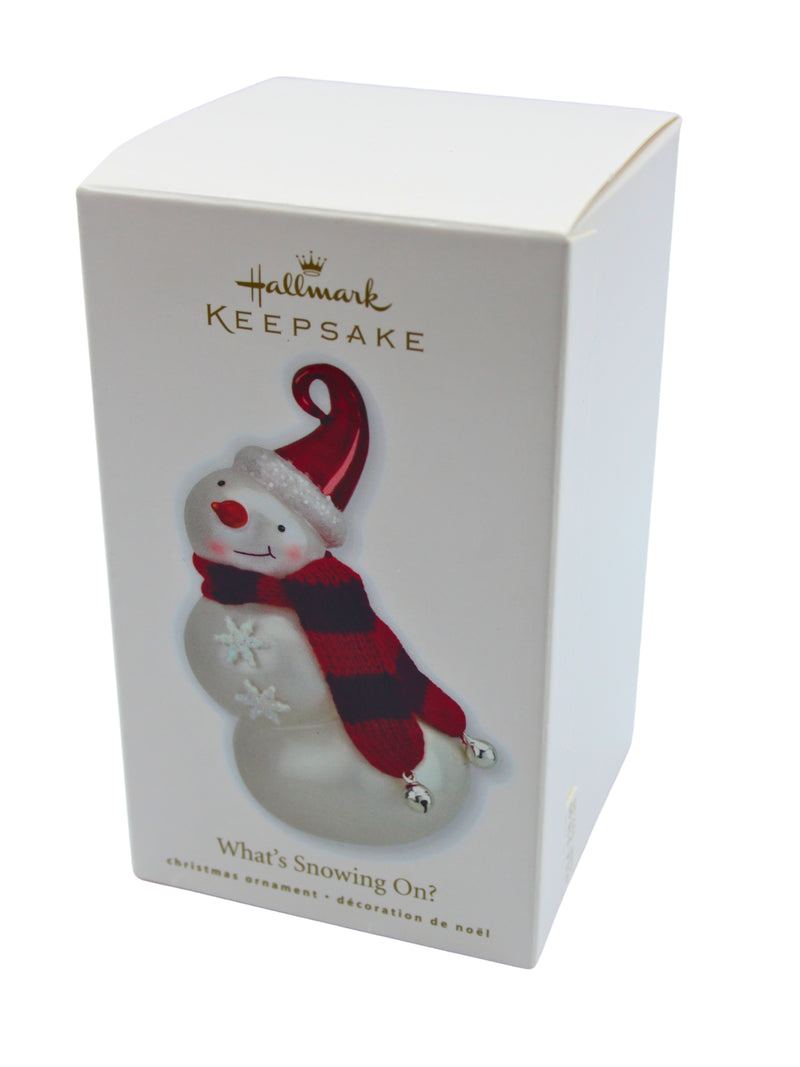 Hallmark Ornament: 2010 What's Snowing On? | QXG7396