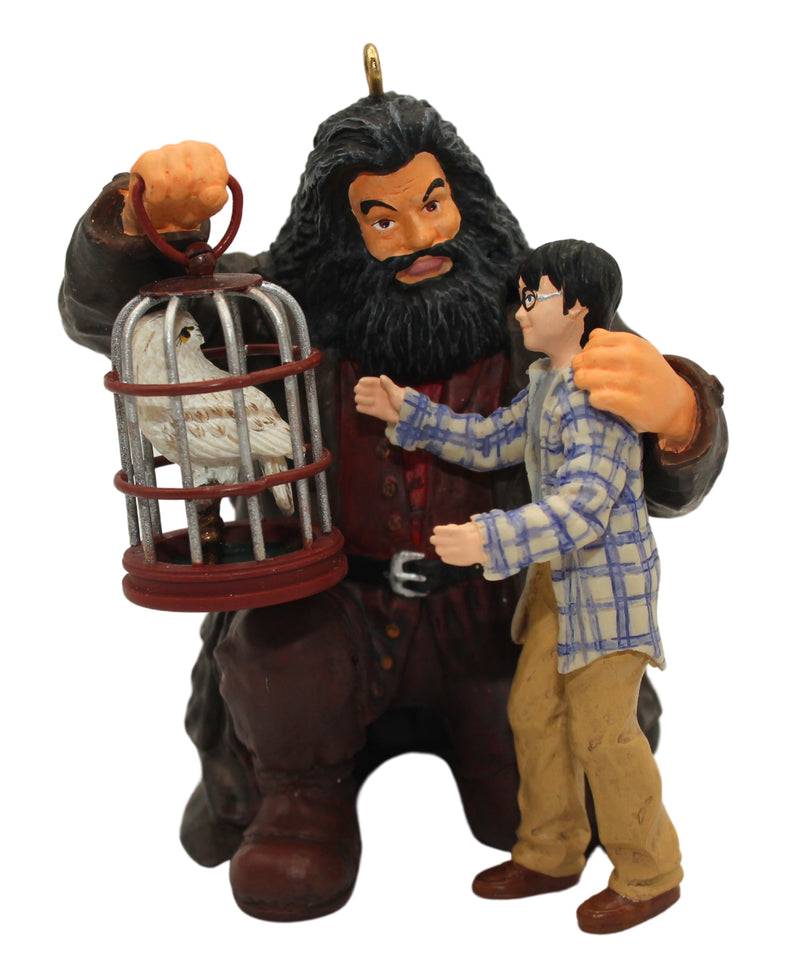 Hallmark Ornament: 2009 Harry! Happy Birthday! | QXI1032 | Harry Potter