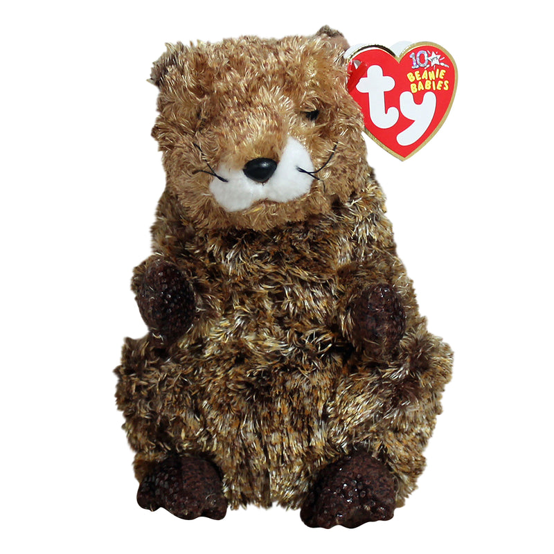 Ty Beanie Baby: Punxsutawney Phil the Groundhog