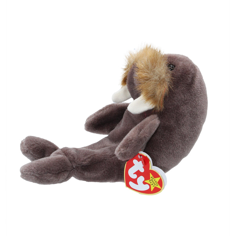 Ty Beanie Baby: Jolly the Walrus