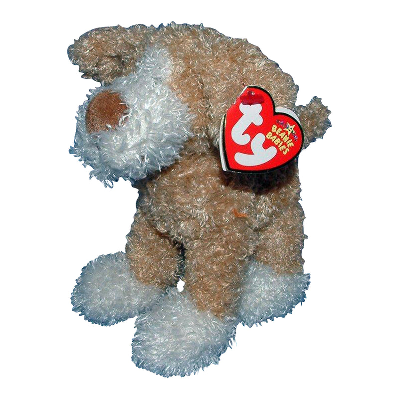 Ty Beanie Baby: Doogie the Dog