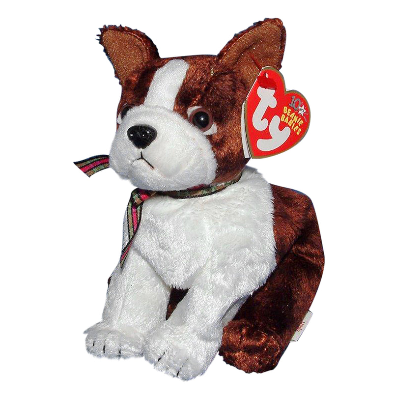 Ty Beanie Baby: Sport the Dog