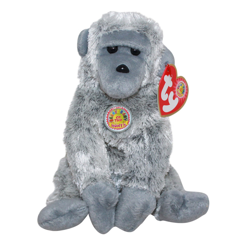 Ty Beanie Baby: Virunga the Gorilla BBOM June 2003