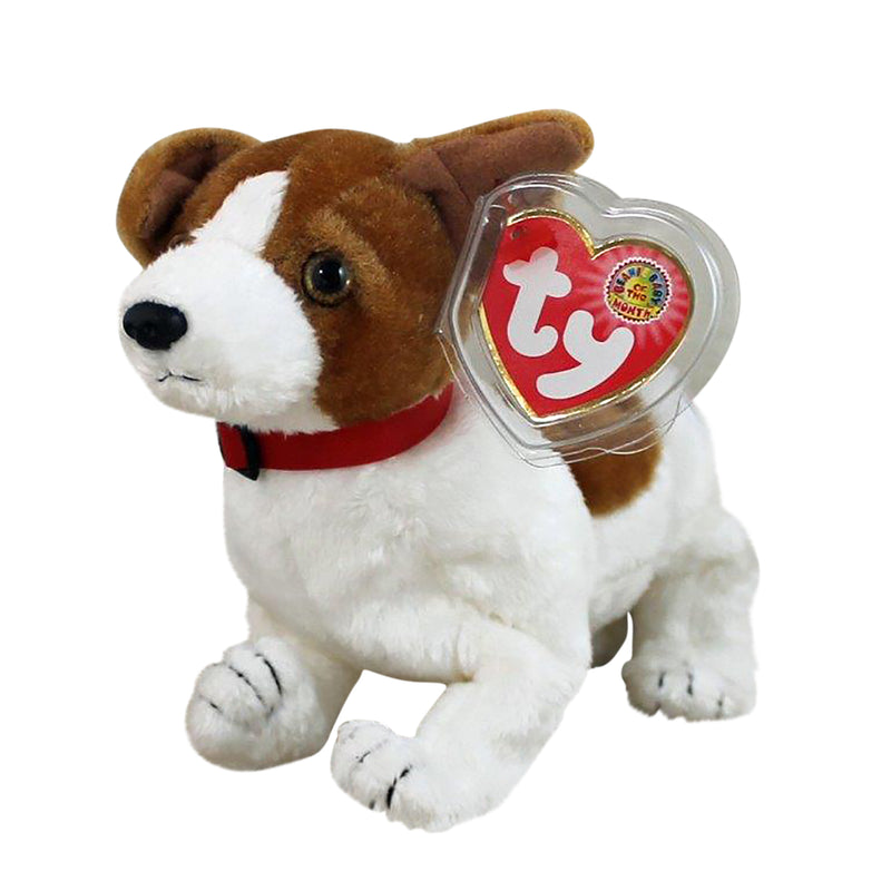 Ty Beanie Baby: Kippy the Dog BBOM September 2003